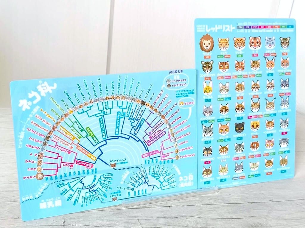 ネコ科系統樹&レッドリスト 下敷き〈改訂版〉