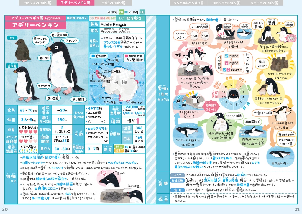 ペンギン全種図鑑〈サナのいきものひみつノートADVANCE〉