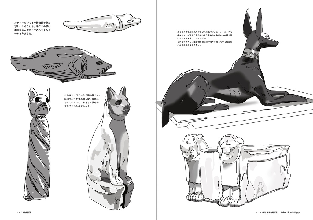 エジプトでみたもの