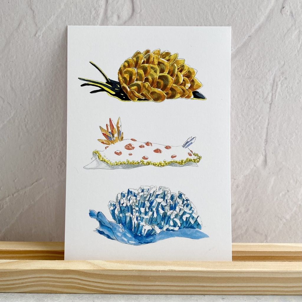 ポストカード【ウミウシ3種 × 鉱物】