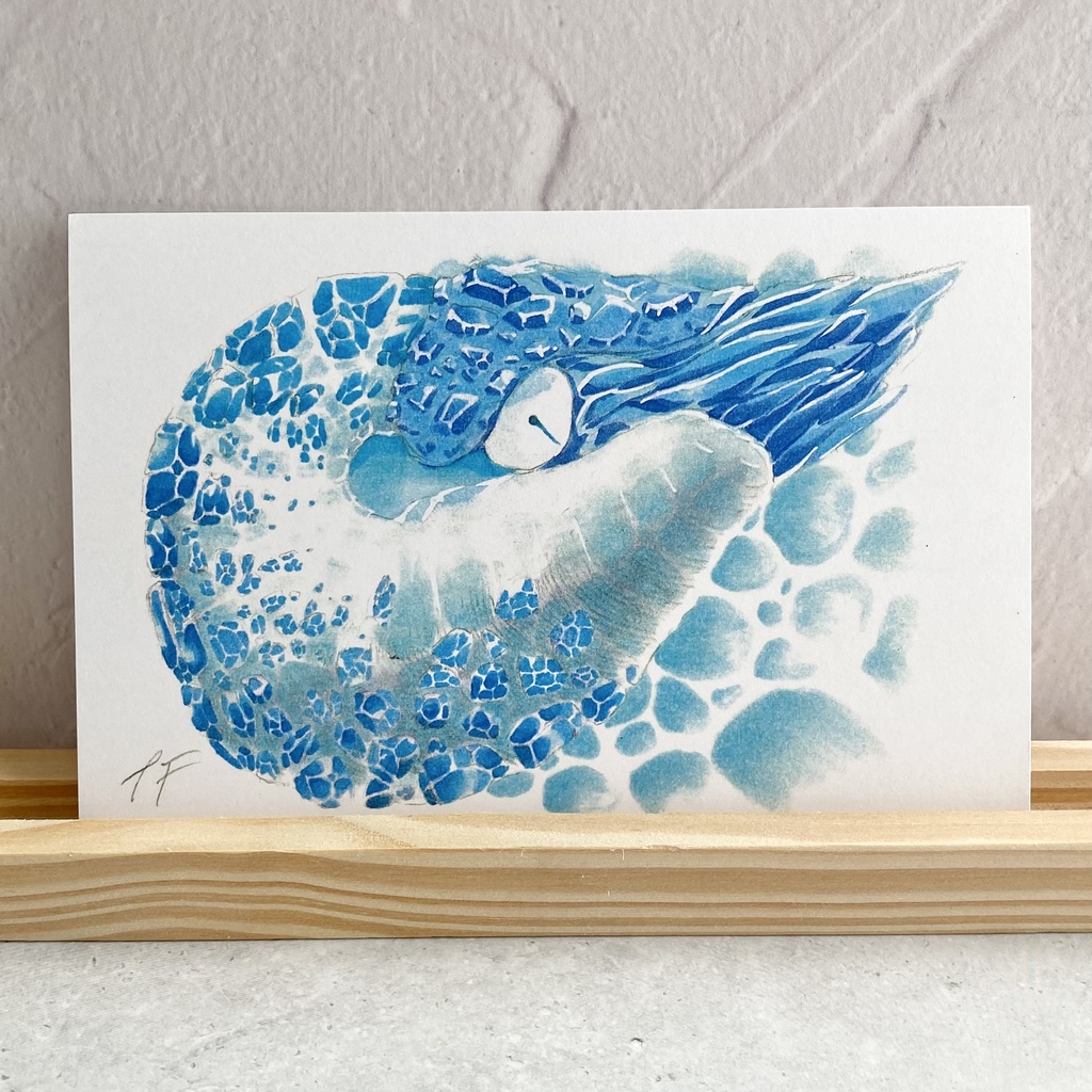 ポストカード【オウムガイ × 鉱物】