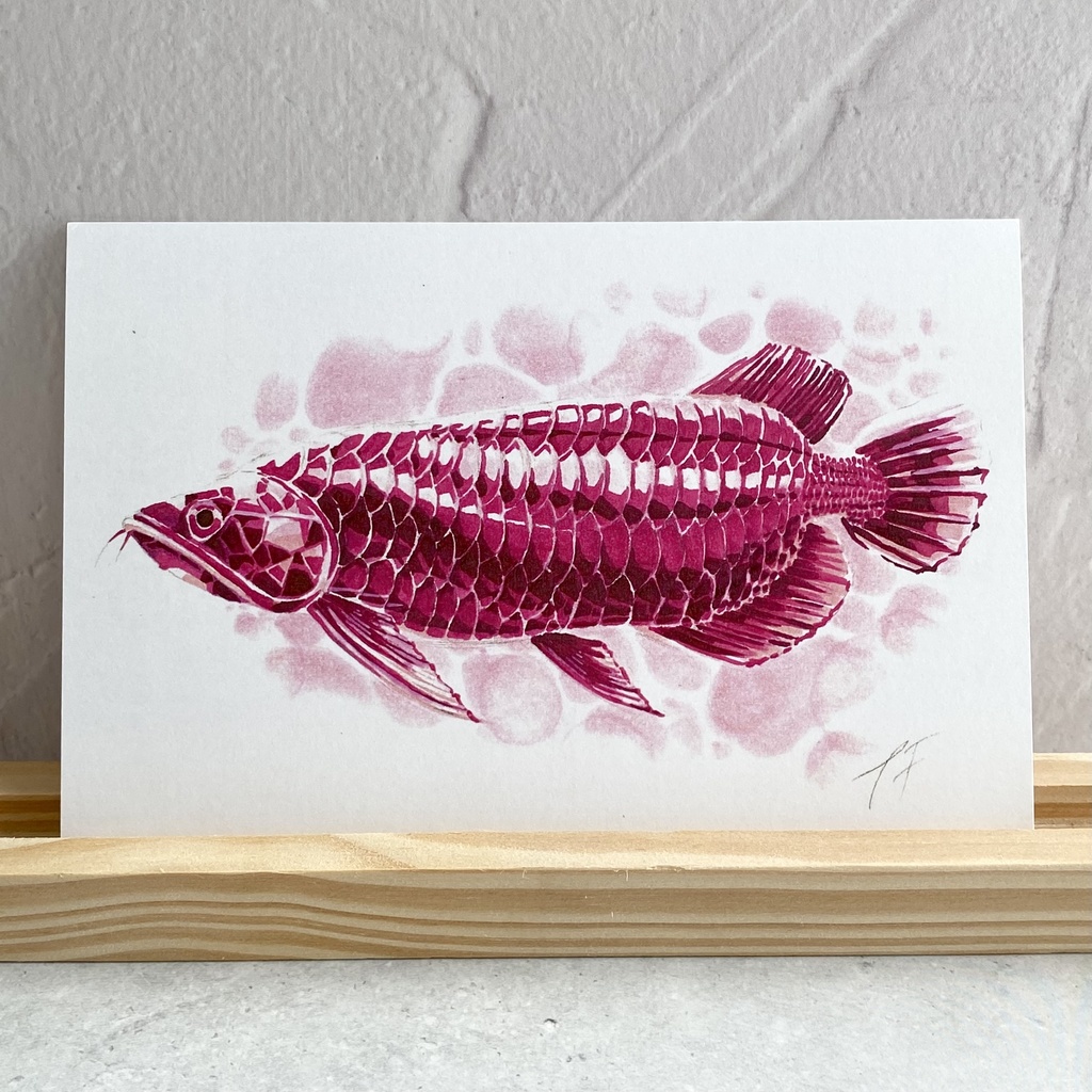 ポストカード【アロワナ × 鉱物】