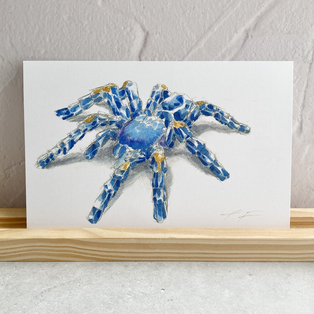 ポストカード【グーティサファイアオーナメンタル × 鉱物】