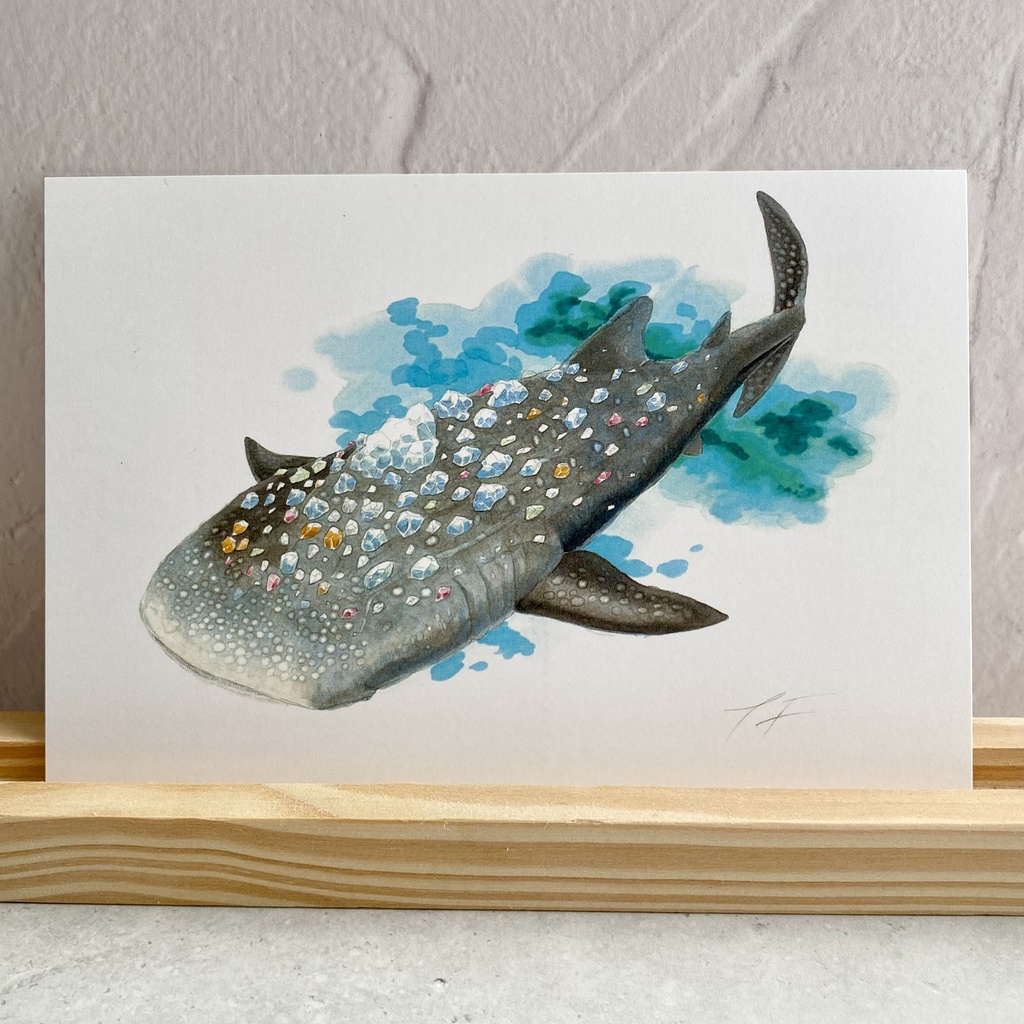 ポストカード【ジンベエザメ× 鉱物】