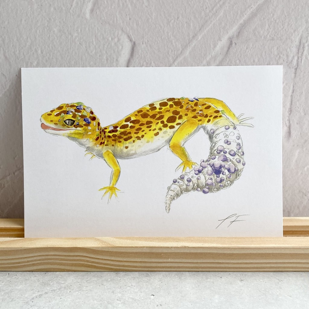 ポストカード【レオパードゲッコー × 鉱物】