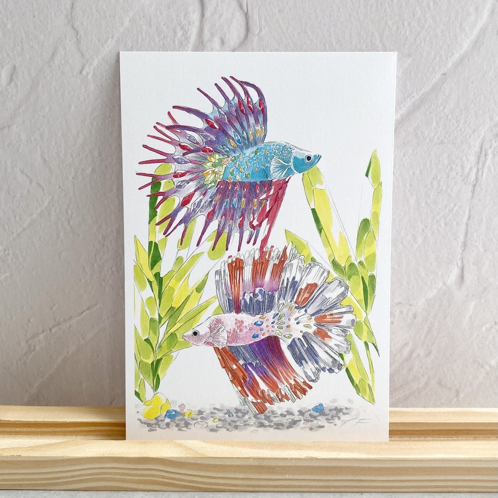 ポストカード【ベタ × 鉱物】