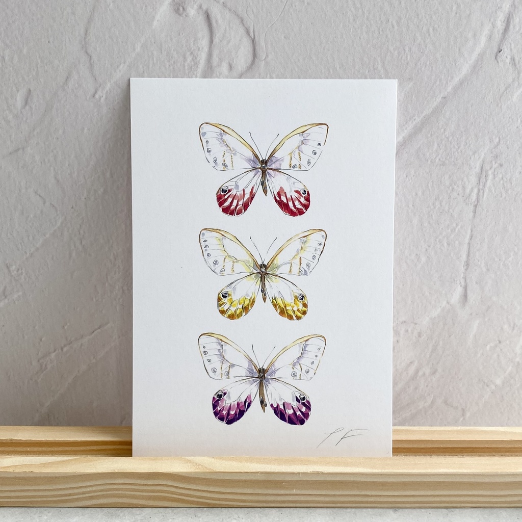 ポストカード【スカシジャノメ × 鉱物】