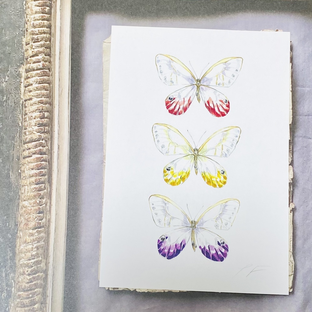 ポストカード【スカシジャノメ × 鉱物】