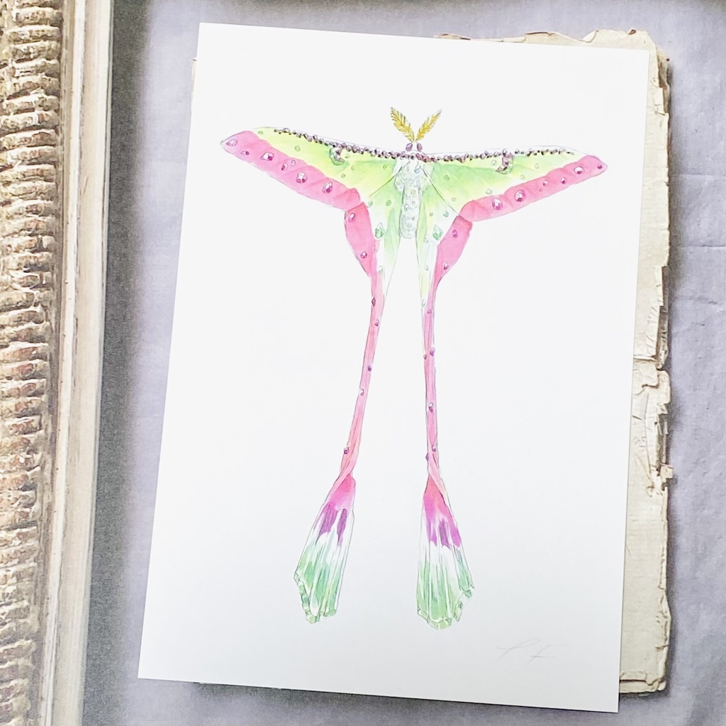 ポストカード【チャイニーズコメットモス × 鉱物】