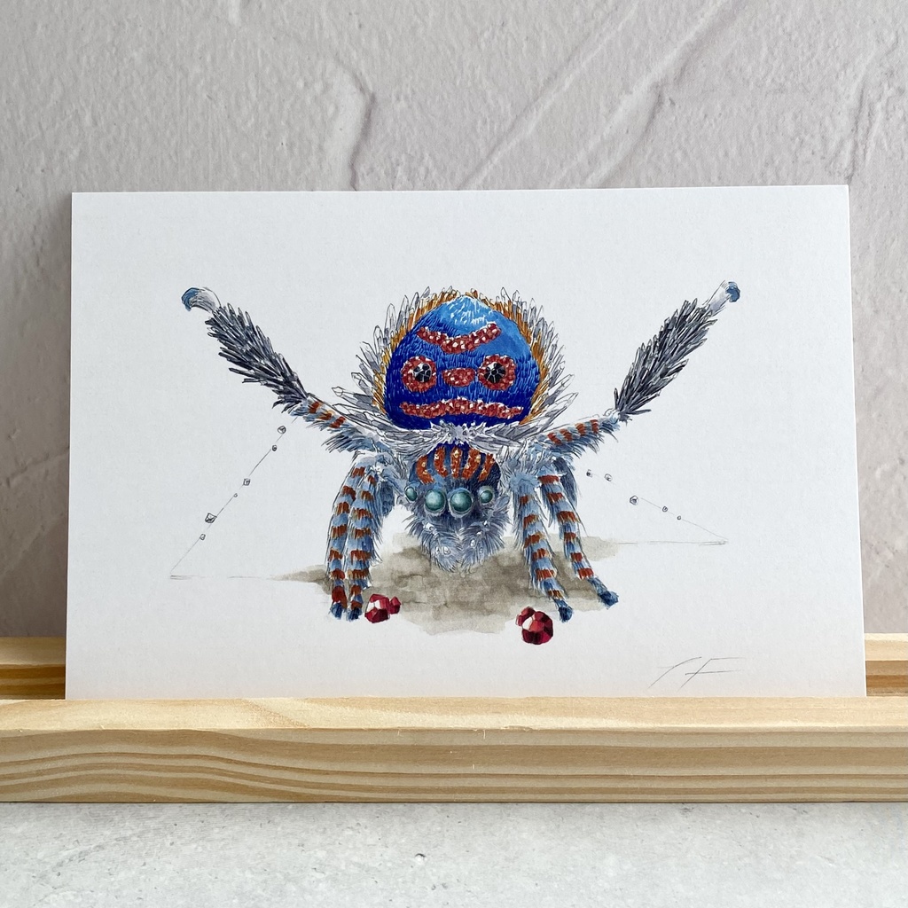 ポストカード【ピーコックスパイダー × 鉱物】