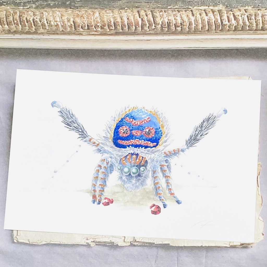 ポストカード【ピーコックスパイダー × 鉱物】