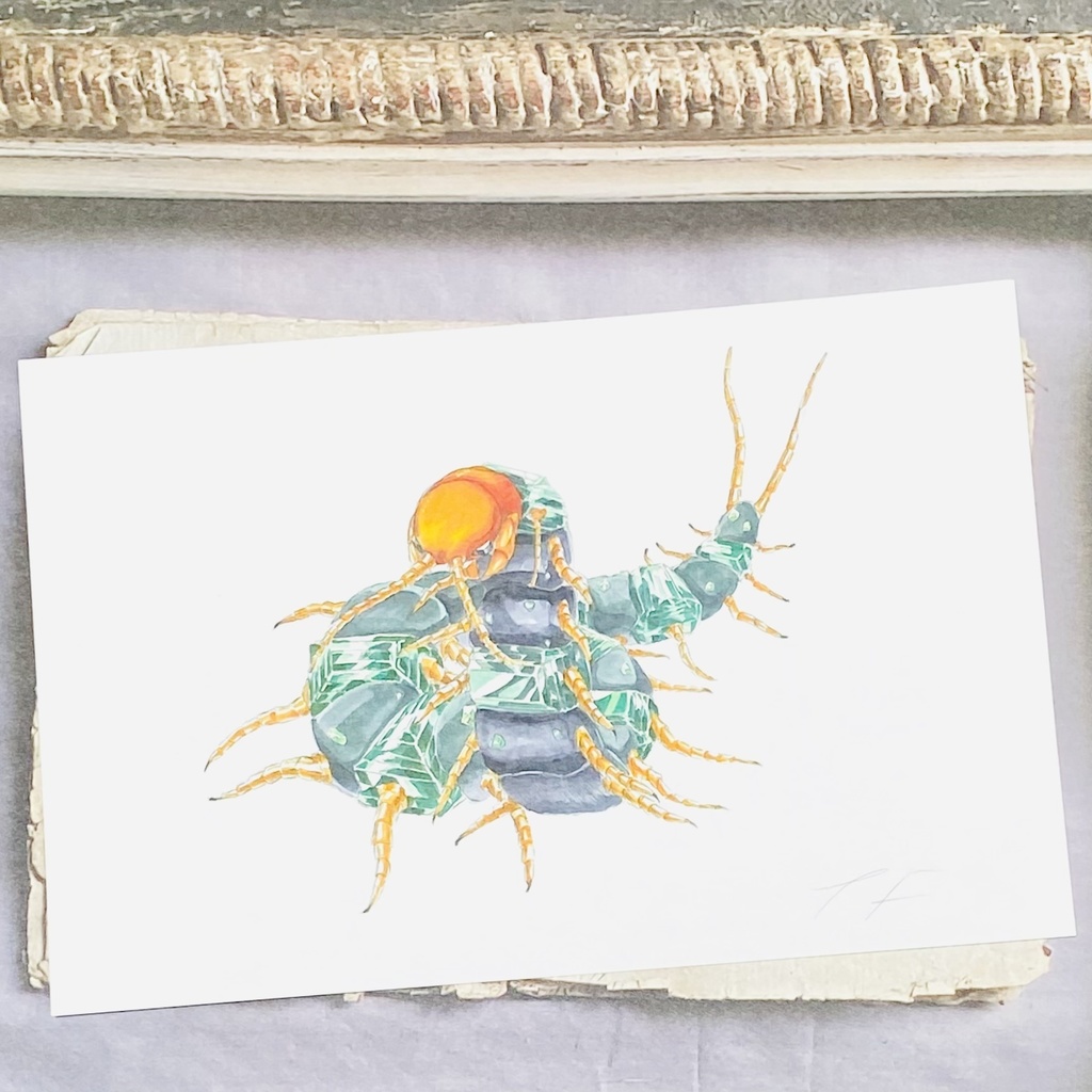 ポストカード【ムカデ × 鉱物】