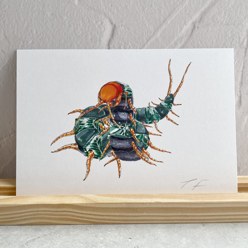 ポストカード【ムカデ × 鉱物】