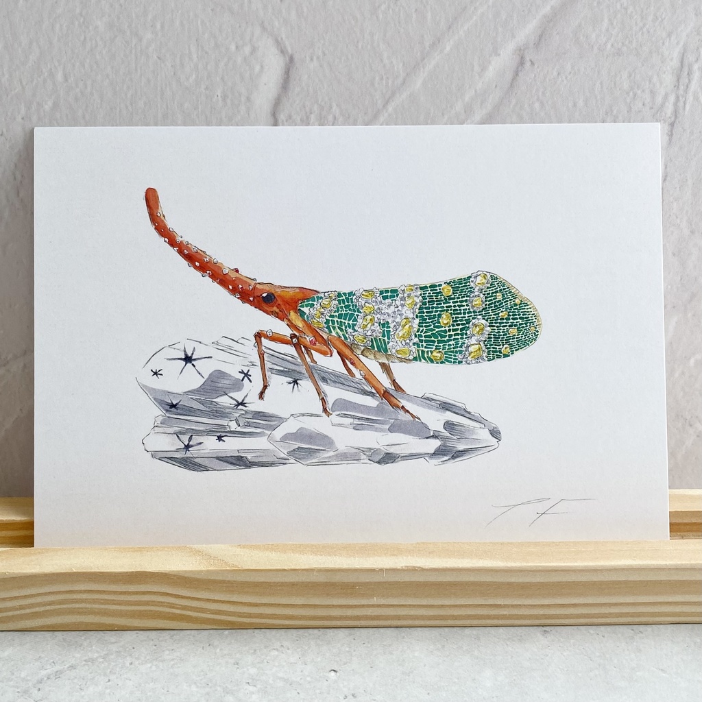 ポストカード【ビワハゴロモ × 鉱物】