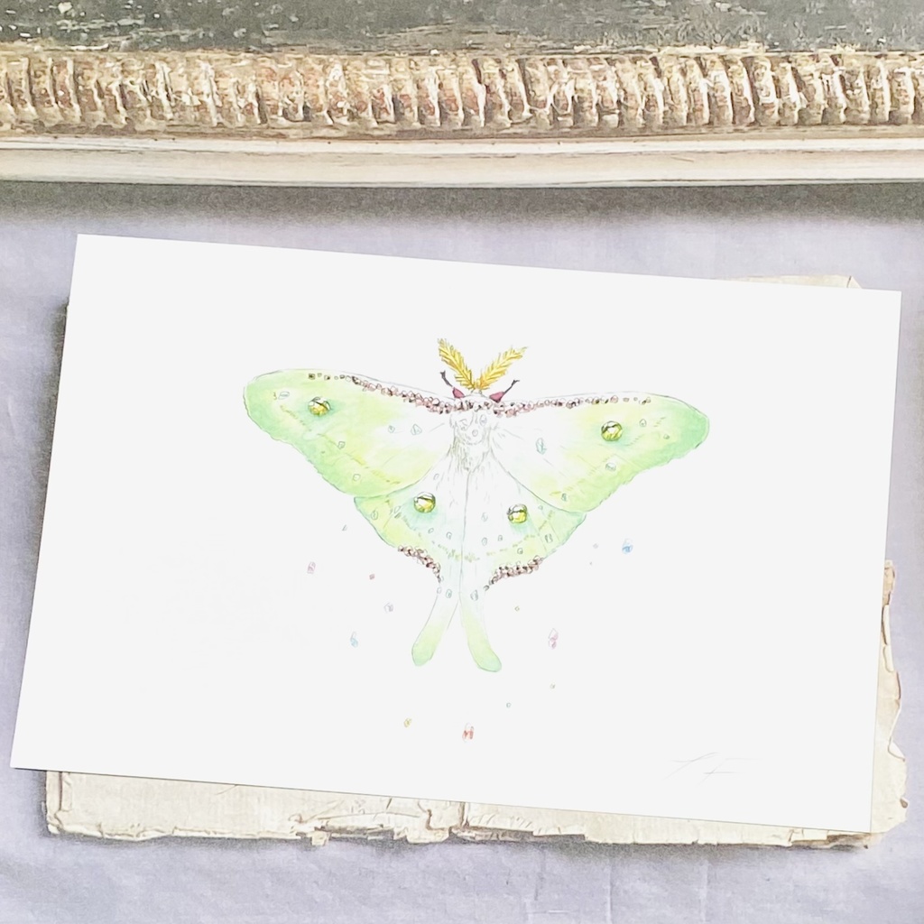 ポストカード【オオミズアオ × 鉱物】