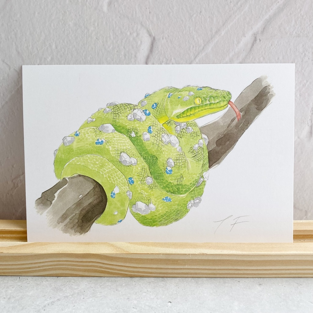 ポストカード【エメラルドツリーボア × 鉱物】