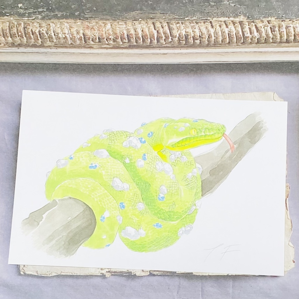 ポストカード【エメラルドツリーボア × 鉱物】