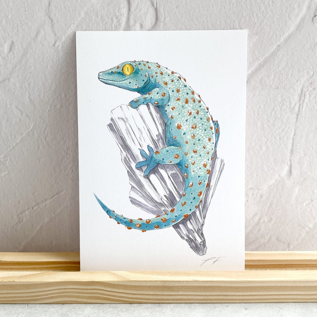 ポストカード【トッケイヤモリ × 鉱物】