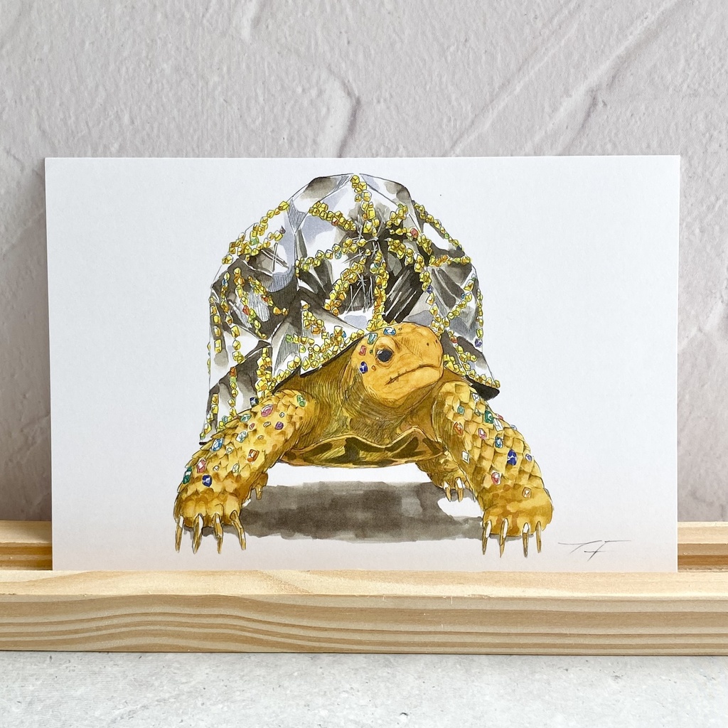 ポストカード【インドホシガメ × 鉱物】