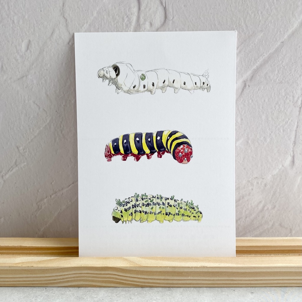 ポストカード【幼虫 × 鉱物】②