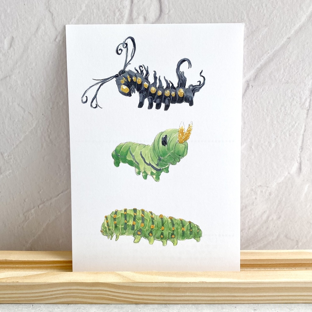 ポストカード【幼虫 × 鉱物】③