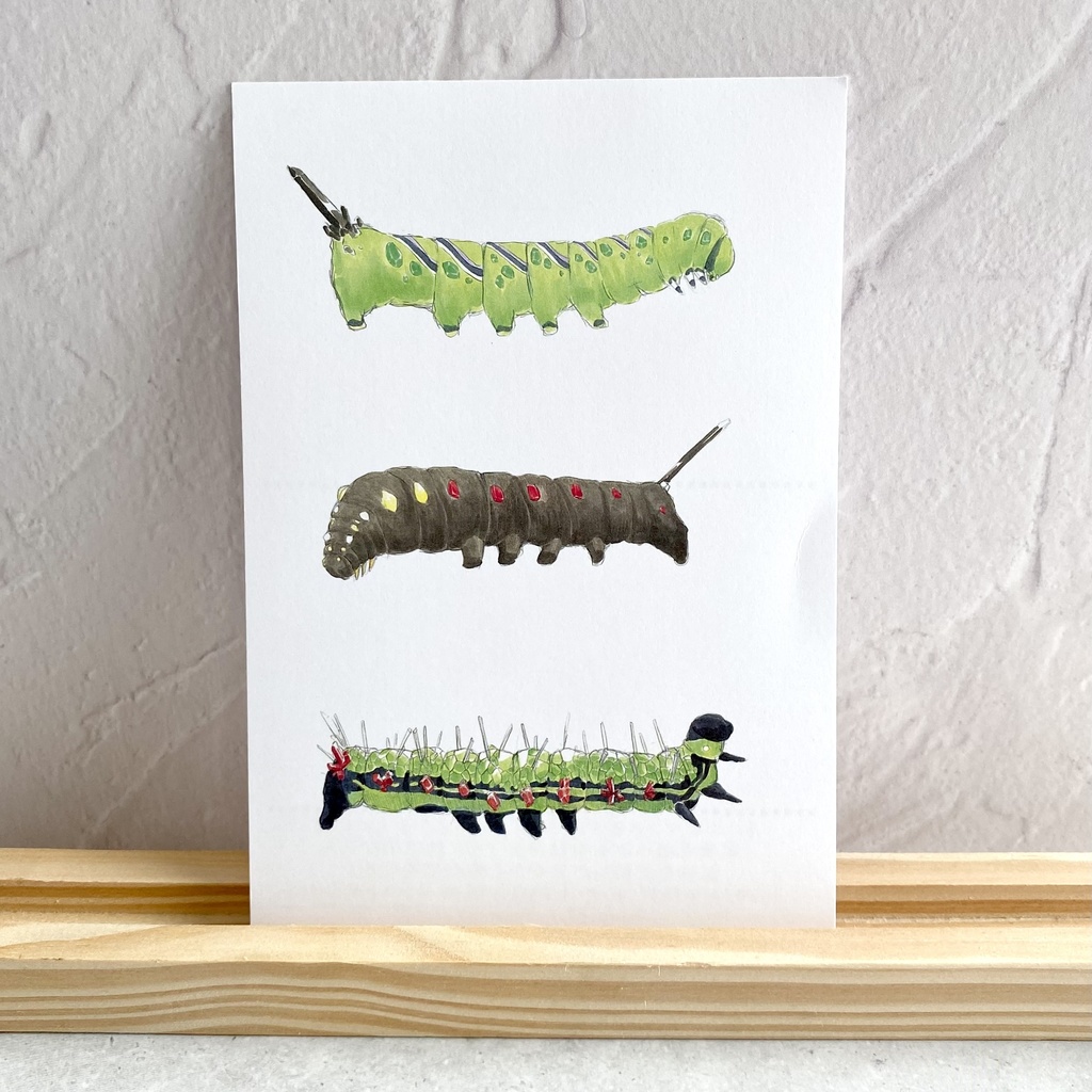 ポストカード【幼虫 × 鉱物】④