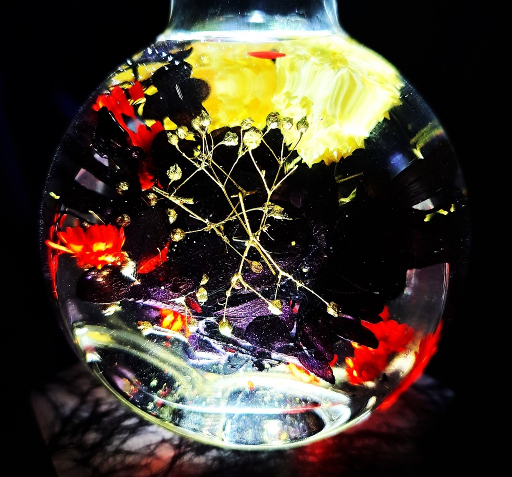 【ホロライブ非公式】赤井はあと イメージハーバリウム