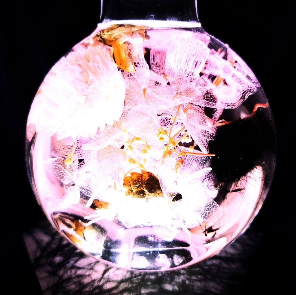 【ホロライブ非公式】癒月ちょこ イメージハーバリウム