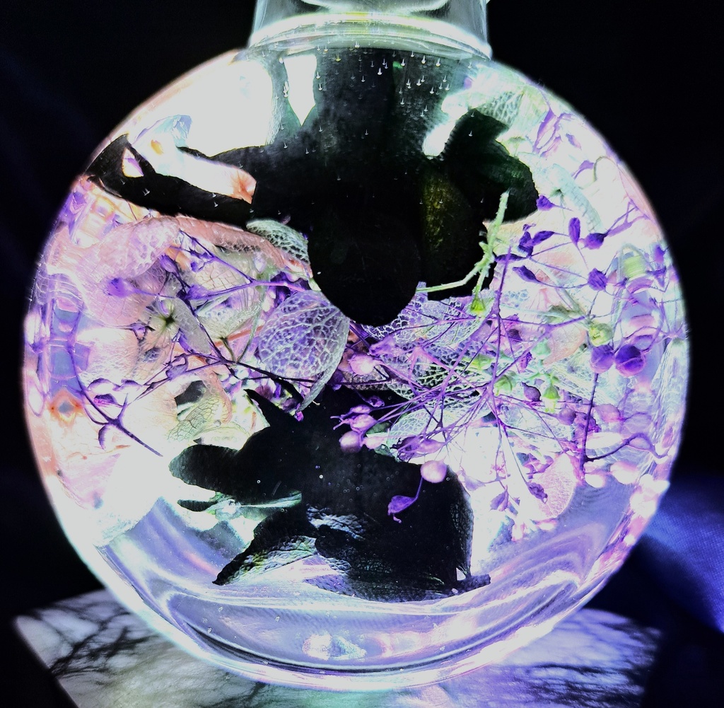 【ホロライブ非公式】ラプラス・ダークネス イメージハーバリウム