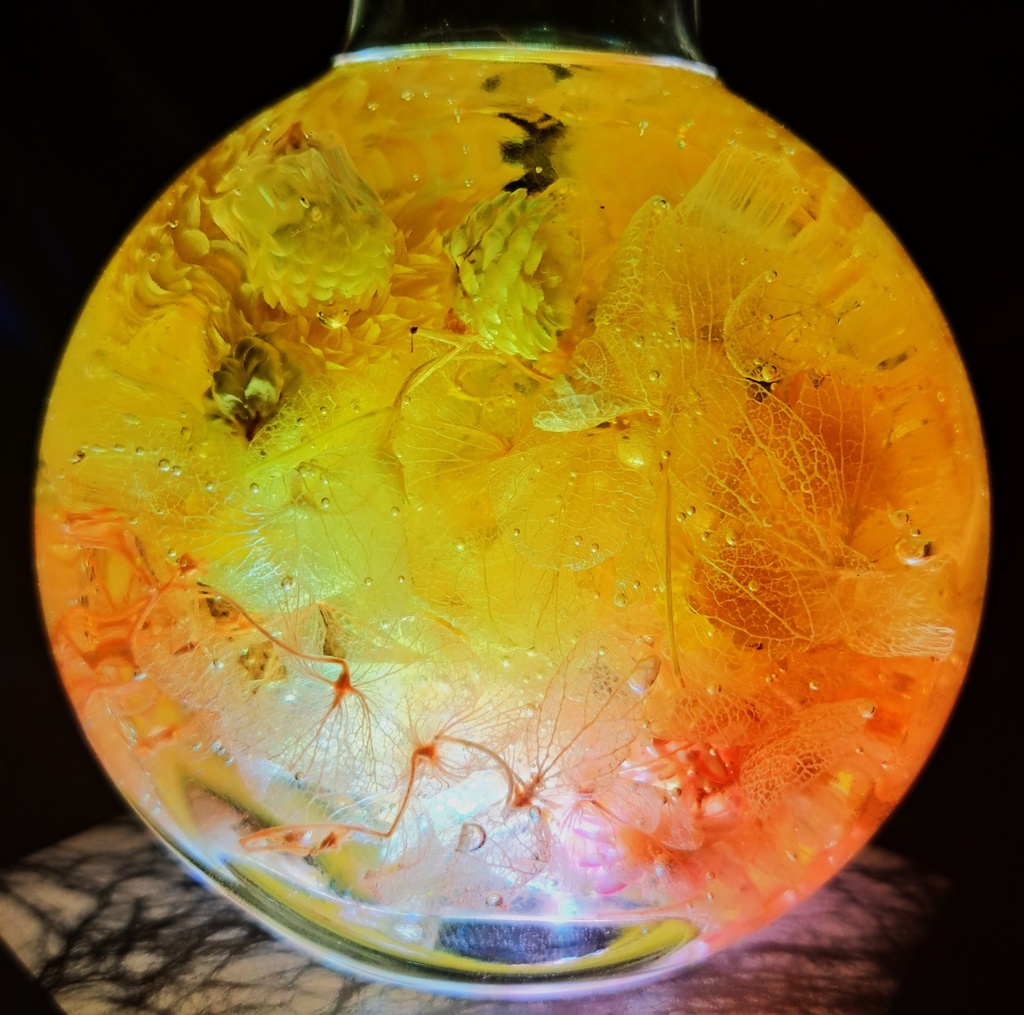 【ホロライブ非公式】一条莉々華 イメージハーバリウム