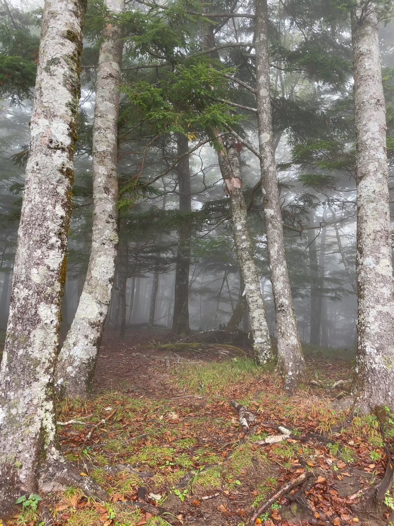 霧の山の写真集