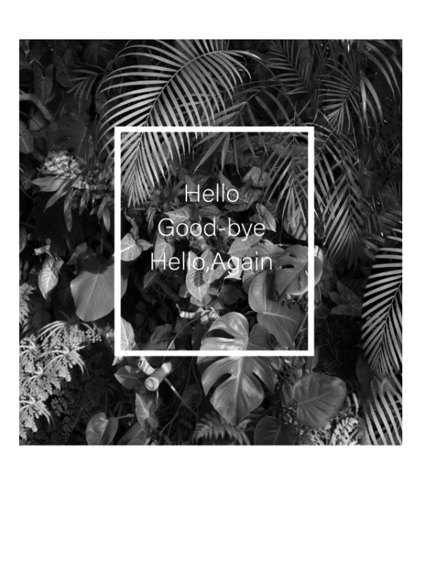 Hello goodbye Hello,Again
