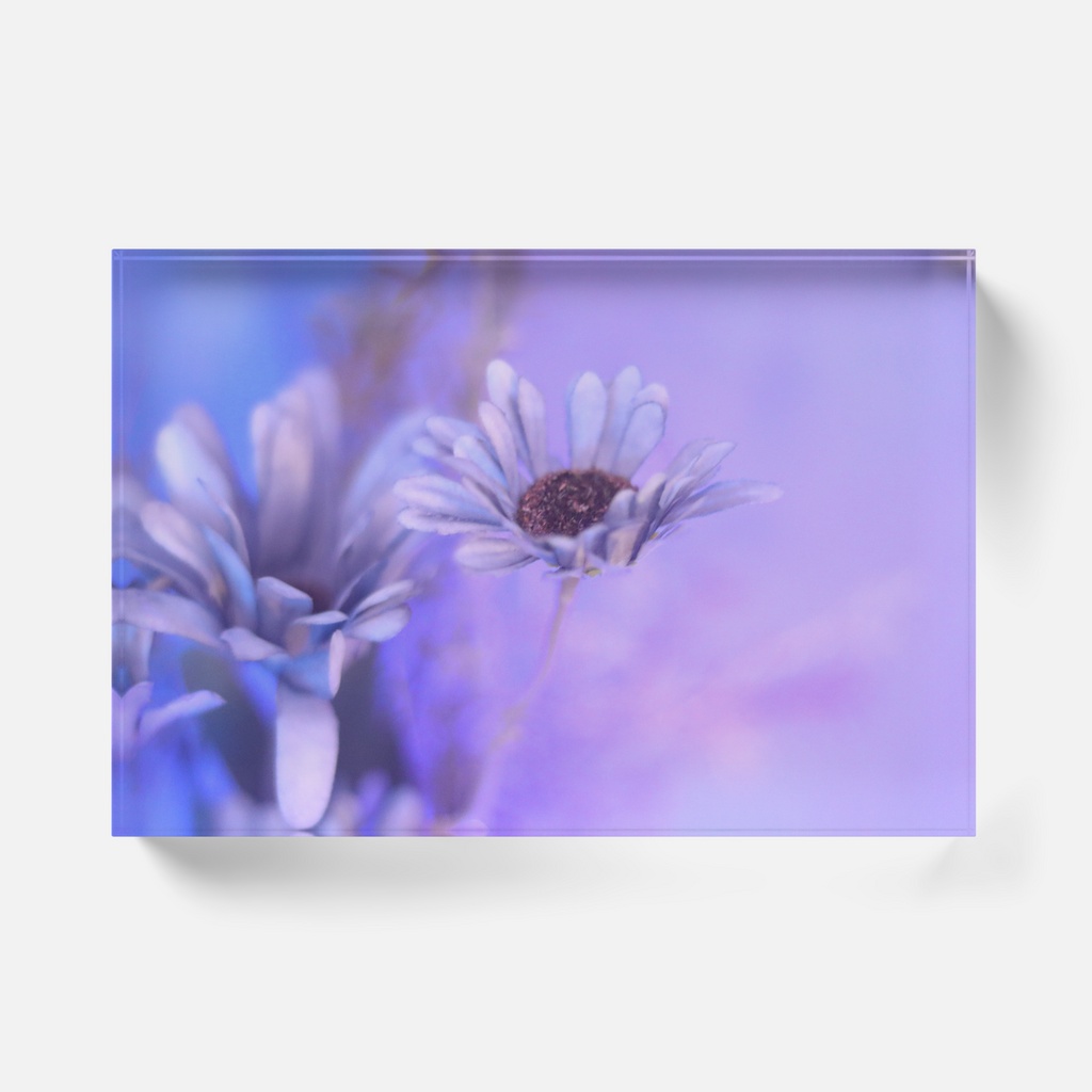Acrylic Photo Block