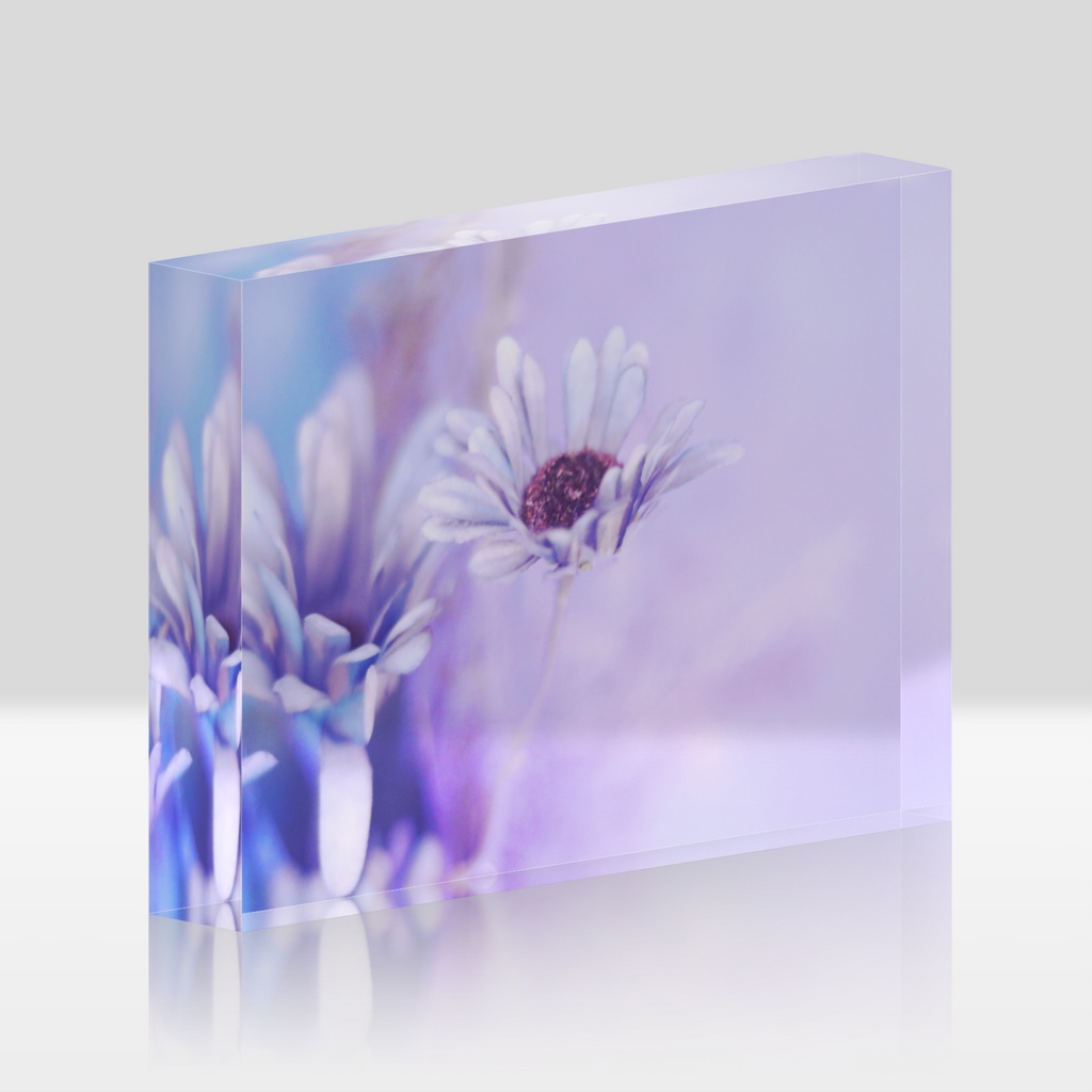 Acrylic Photo Block