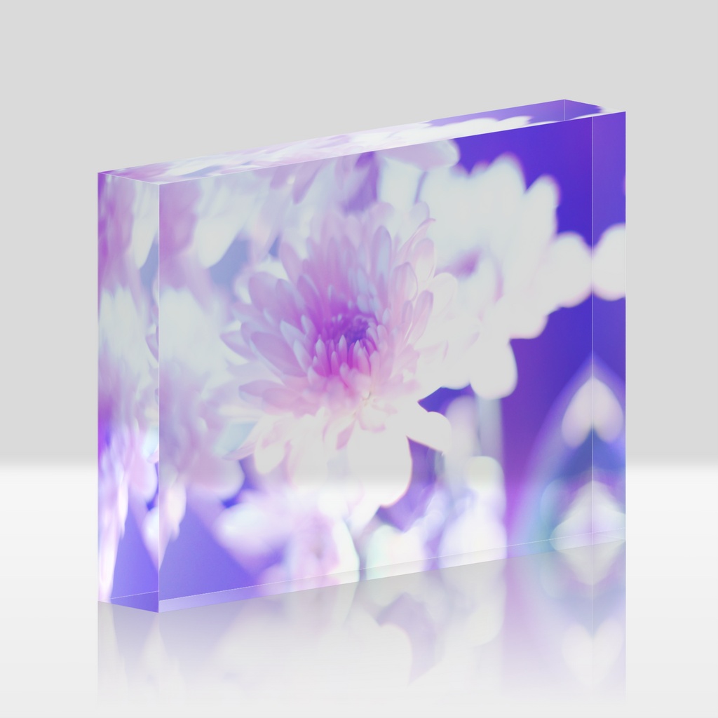 Acrylic Photo Block