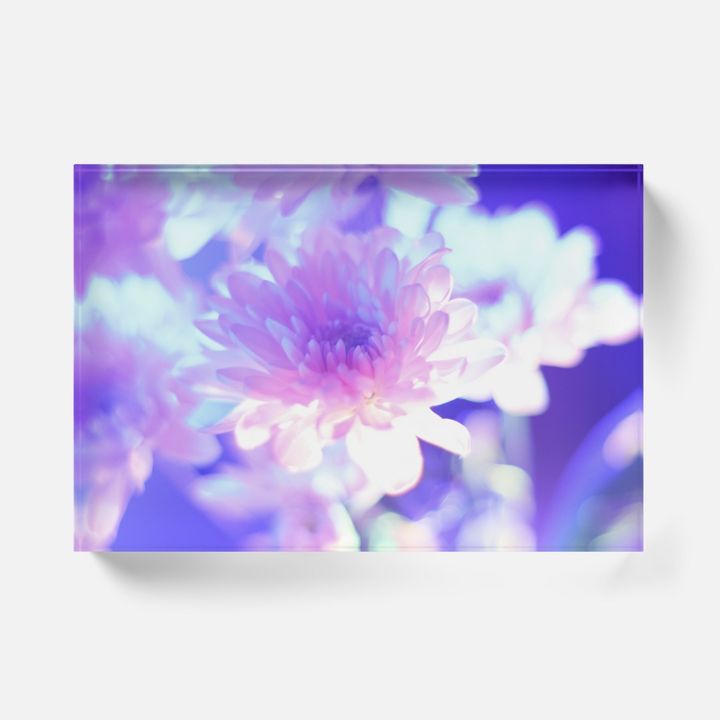 Acrylic Photo Block