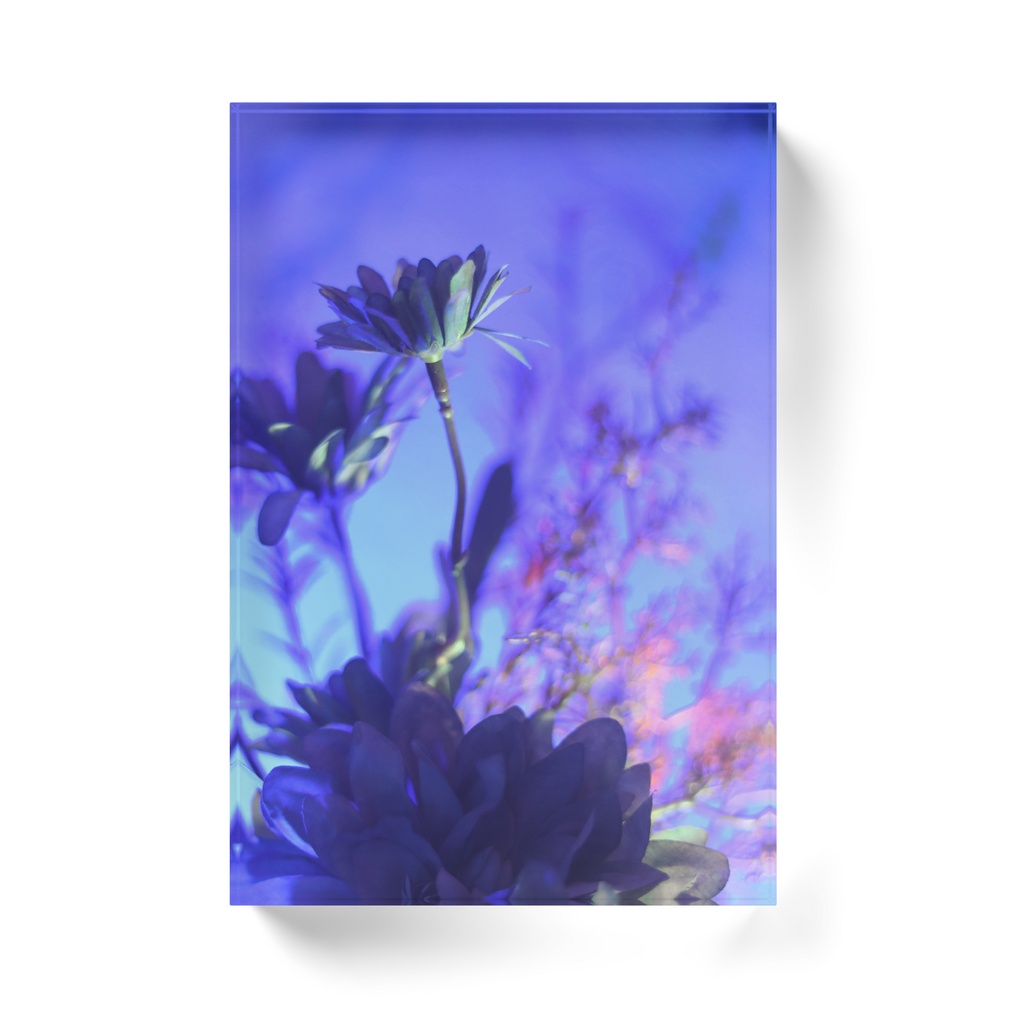 Acrylic Photo Block
