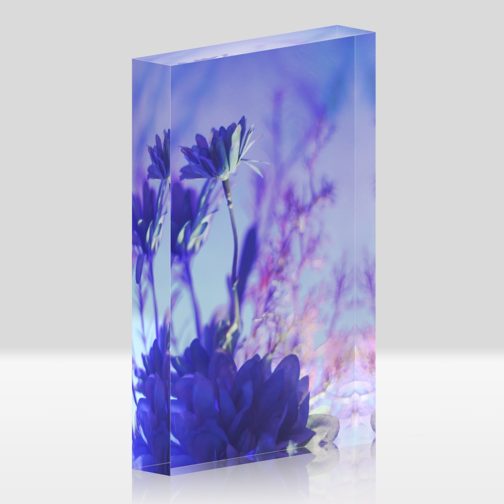 Acrylic Photo Block