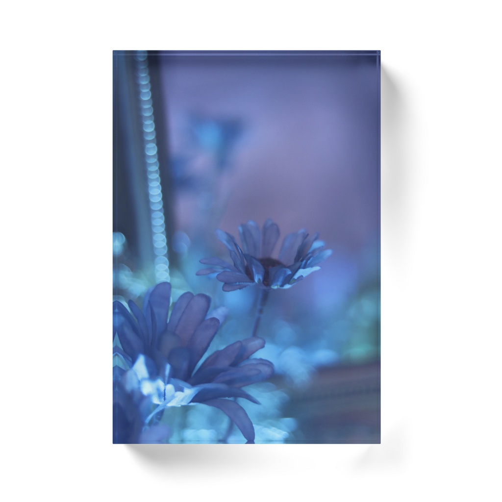 Acrylic Photo Block
