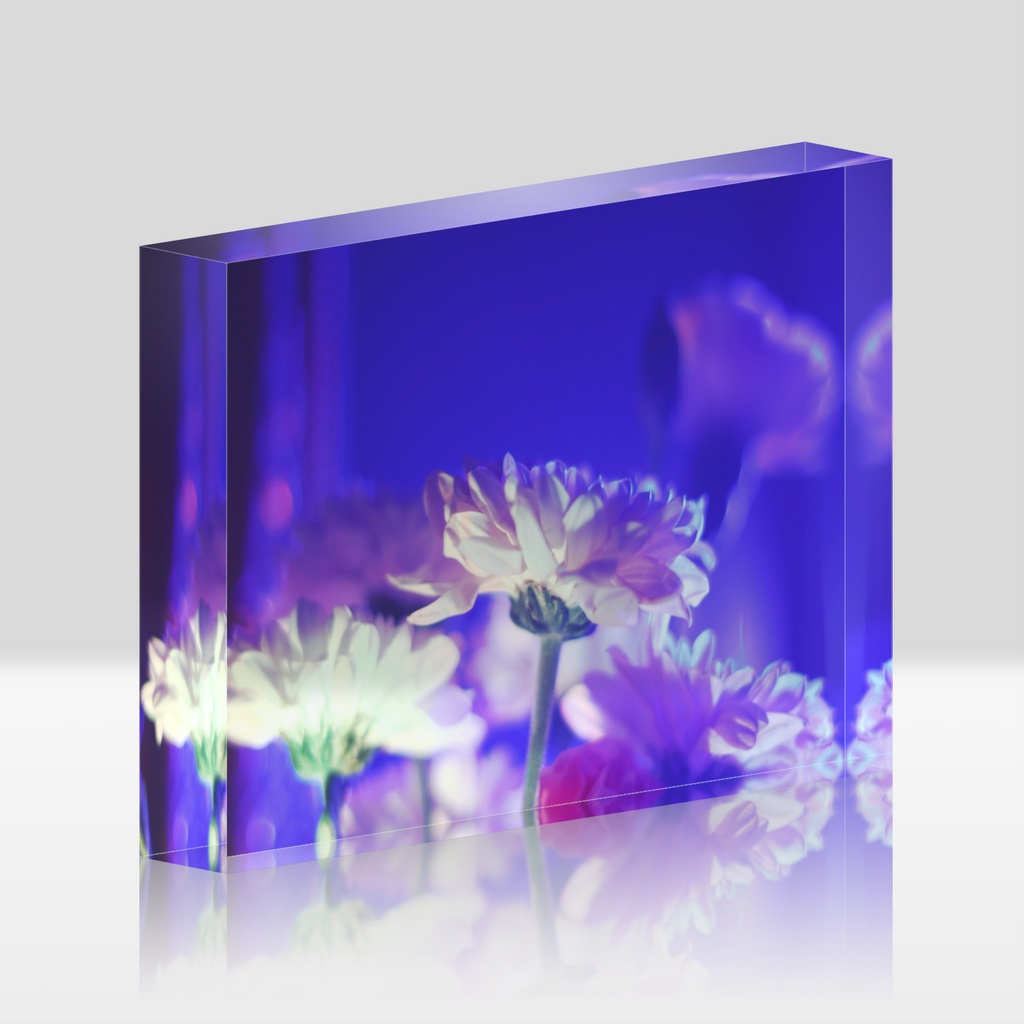 Acrylic Photo Block