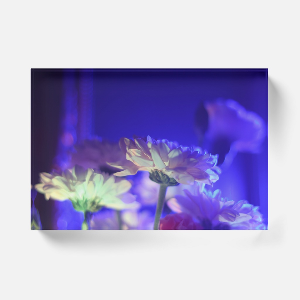 Acrylic Photo Block