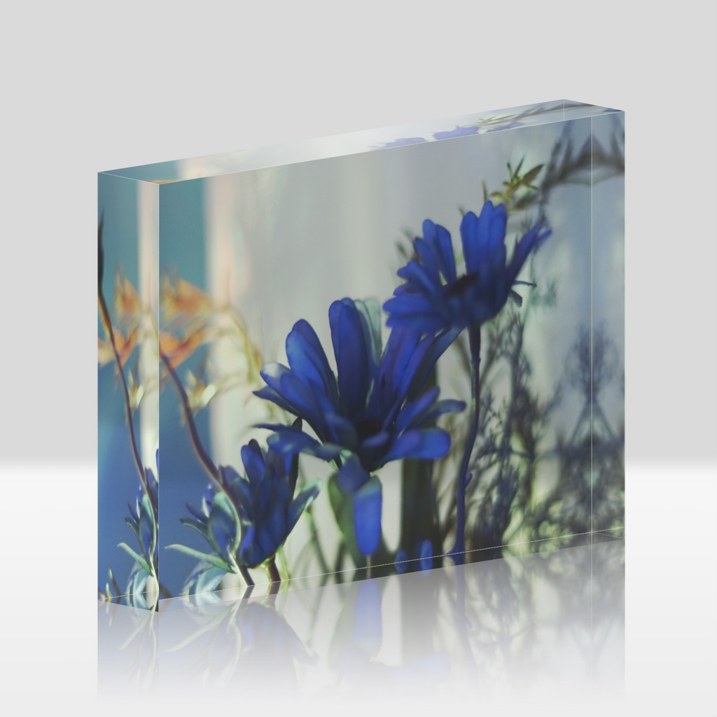 Acrylic Photo Block