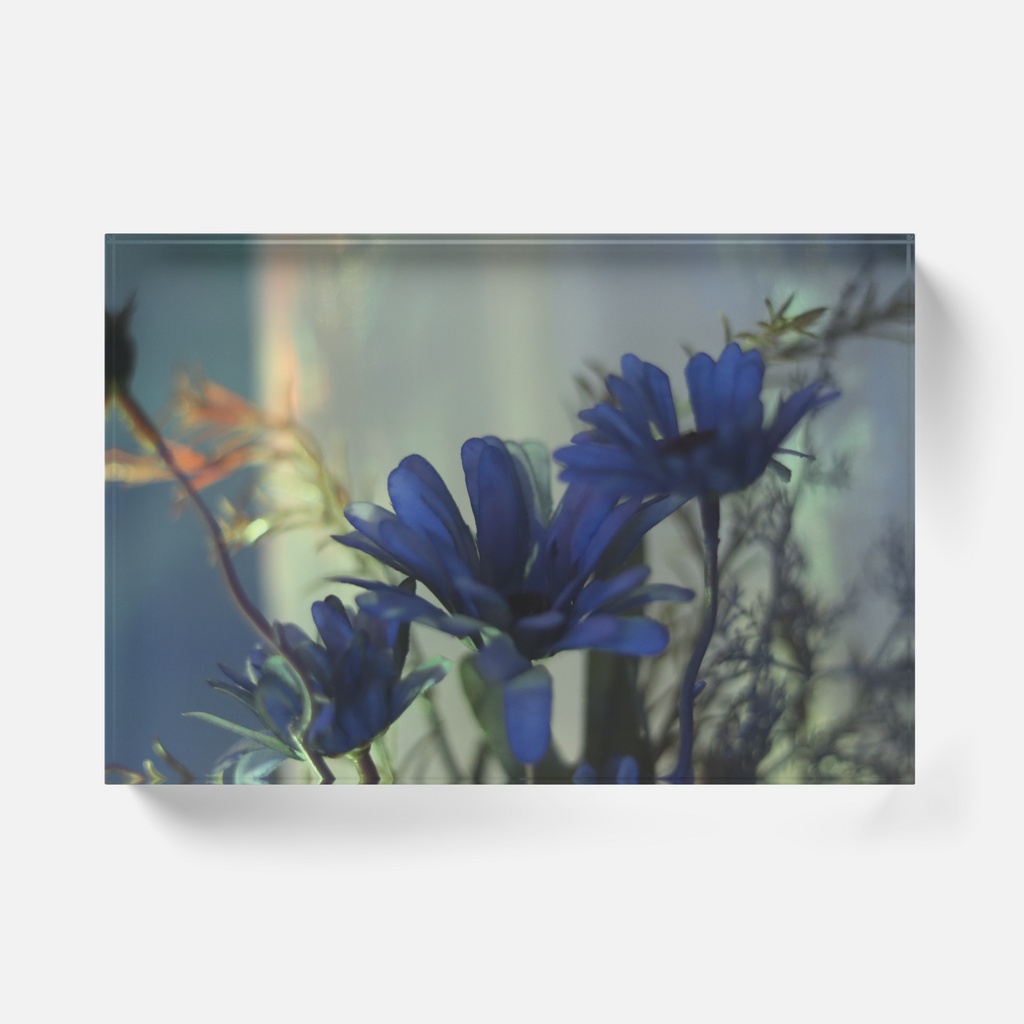 Acrylic Photo Block