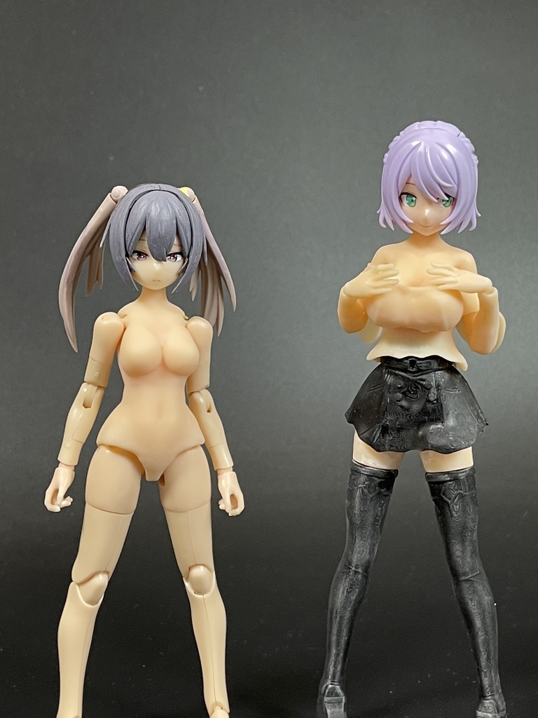 めがみのそたい001/002