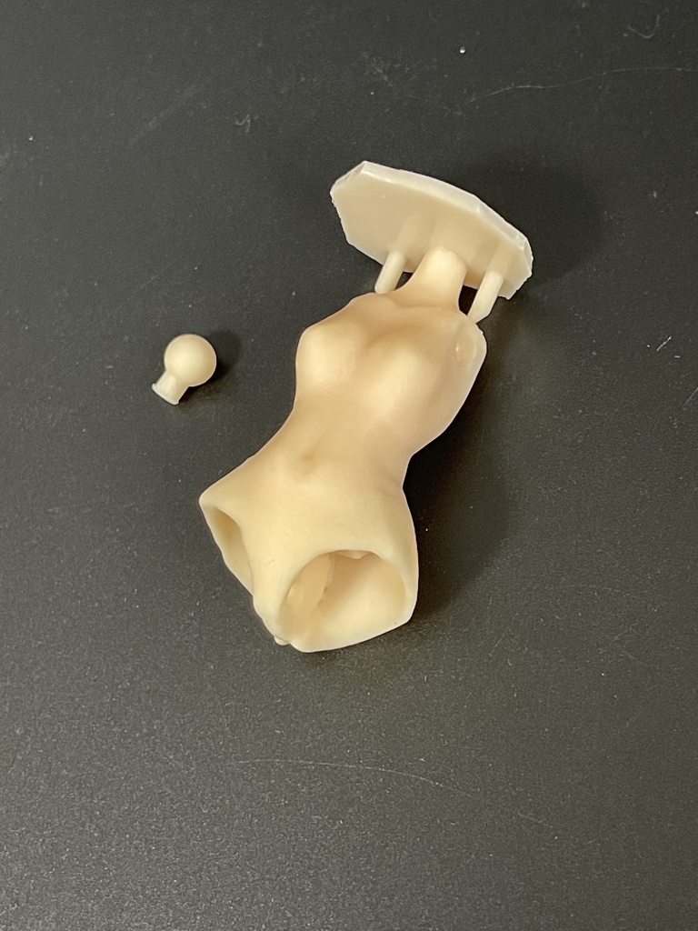 めがみのそたい001/002