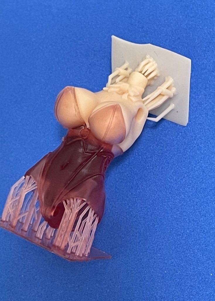 しふくのめがみ010「ザ・バニー」