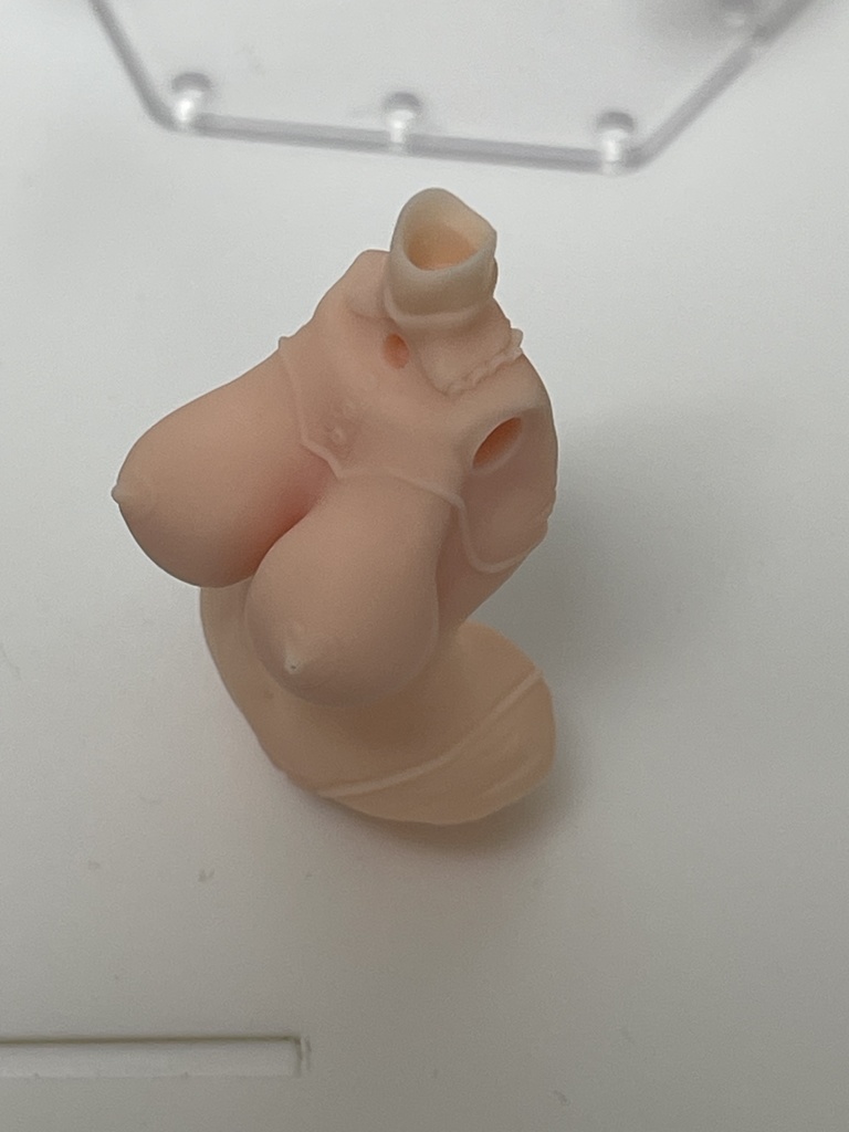 めがみのそたい 016