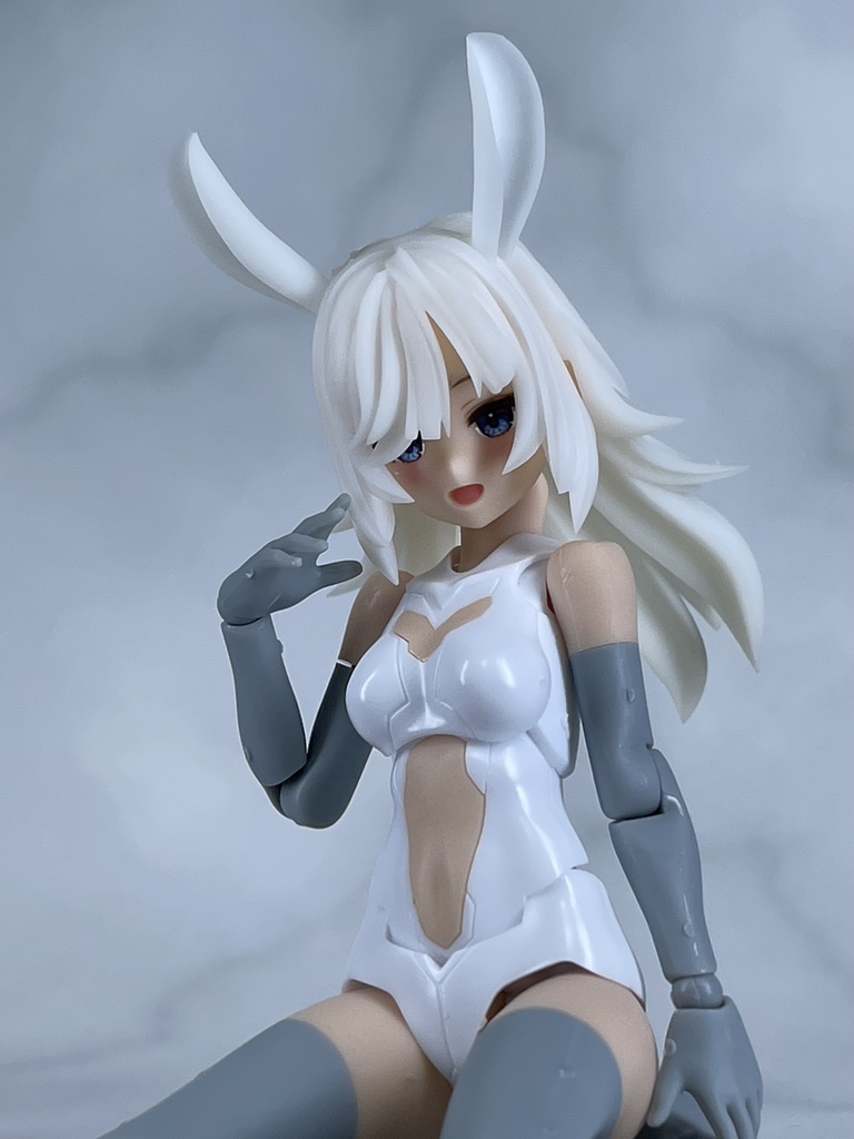 めがみのかみマルチNX.002「ウサロング」