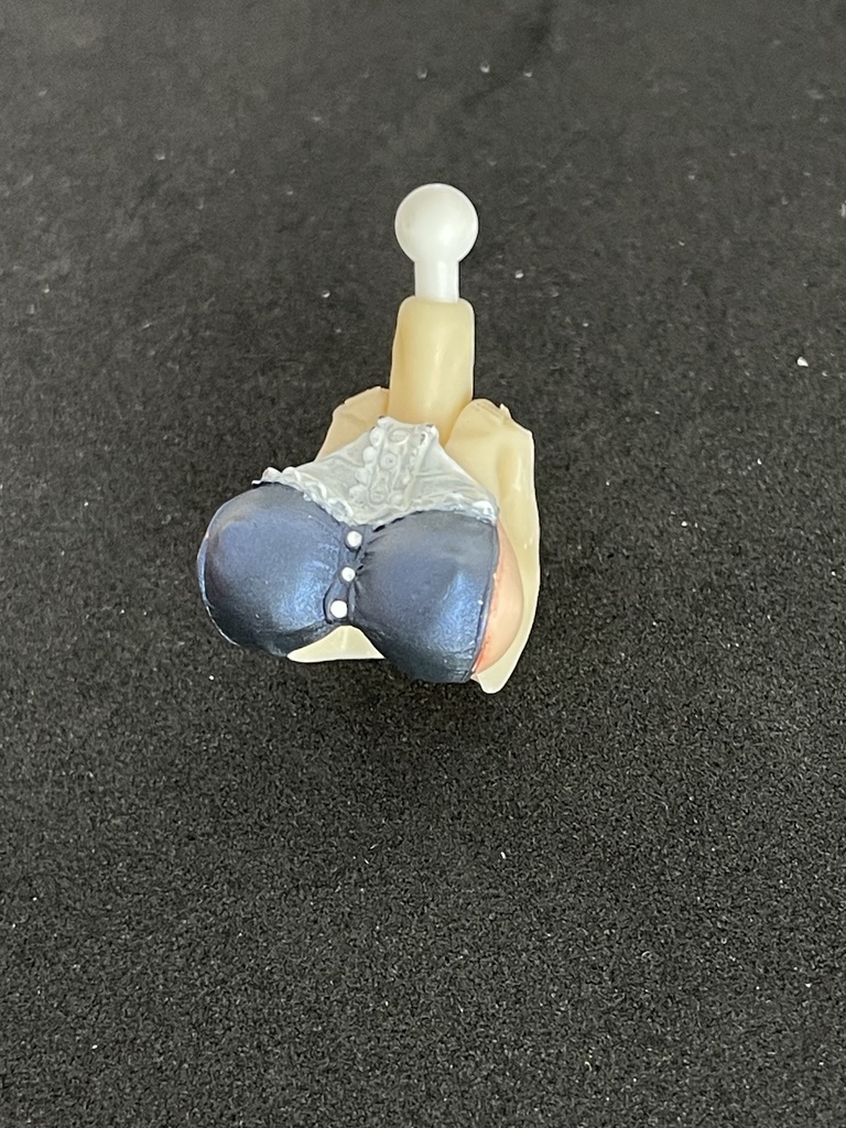 BDボディ001 お試しセット