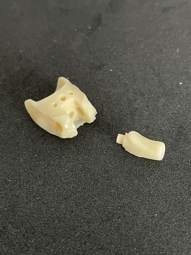 BDボディ001 お試しセット